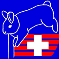 kanin hop schweiz